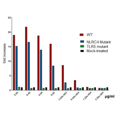 Flagellin (rec.) (AG-40B-0125) and Flagellin (NLRC4 Mutant) (rec.) (AG-40B-0126) induce CCL20-luciferase promoter through TLR5 <i>in vitro</i>. <br /><b>Method:</b> Caco-2 cells transfected with plasmid encoding CCL20-LUC plasmid are activated for 24h wit