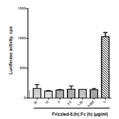 <b>Figure:</b> Frizzled-5 (human):Fc (human) (rec.) (AG-40B-0133) efficiently inhibits Wnt3a activation. <b>Methods:</b> Inhibition of Wnt3a activation by Frizzled-5 (human):Fc (human) (rec.) was measured by using HEK293 cells transfected with a plasmid c