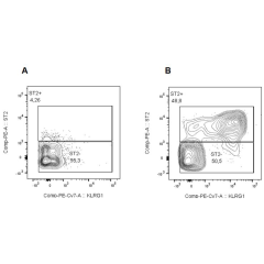 Activation <i>in vivo</i> of Innate Lymphoid Cells 2 (ILC2) by IL-33 (oxidation resistant) (human) (rec.) (untagged) (AG-40B-0160). <b>Method:</b> C57BL/6 mice were injected daily for 3 days with PBS (Figure A) or IL-33 (oxidation resistant) (human) (rec.