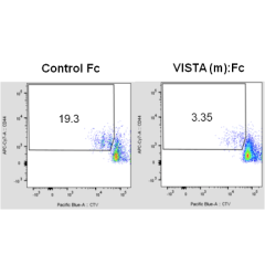 VISTA [B7-H5] (mouse):Fc (human) (rec.)
