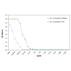 DLL4 (human):Fc (human) (rec.) (highly active mutant) (AG-40B-0176) binds to mNotch1 with higher affinity than WT DLL4:Fc. <b>Method:</b> Notch1 (mouse):Fc was coated on an ELISA plate at 1μg/ml. After blocking and washing steps, indicated concentrations 