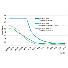 Tim-4 (mouse):Fc (human) (rec.) (Biotin)