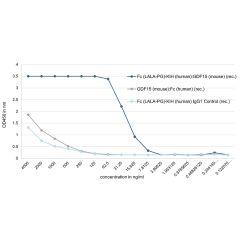 Fc (LALA-PG)-KIH (human):GDF15 (mouse) (rec.)
