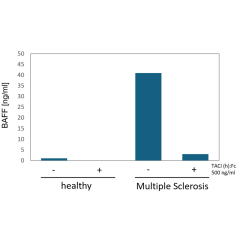 Specific quantitation of BAFF in human serum. <b>Method:</b> Serum from a healthy patient or patient with multiple sclerosis is left untreated or treated with 0.5 μg/ml of a BAFF receptor, TACI (human):Fc (human) (Prod. No. AG-40B-0079). BAFF levels are m