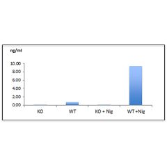 Mouse Caspase-1 is detected in cell culture supernatants by ELISA using Caspase-1 (mouse) Matched Pair Detection Set (Prod. No AG-46B-0003).<br /> <strong>Method:</strong> Caspase-1 (mouse) was measured by ELISA in supernatants of differentiated bone marr