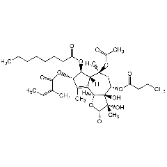Thapsigargin (high purity)