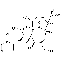 Ingenol-3-angelate