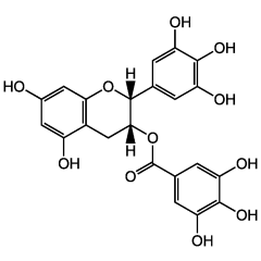 (-)-Epigallocatechin gallate