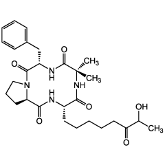 Dihydrochlamydocin