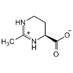 Ectoine