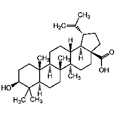 Betulinic acid (>99%)