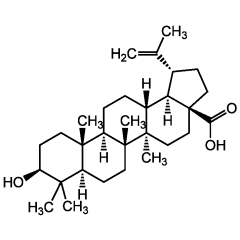 Betulinic acid (>97%)