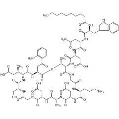 Daptomycin