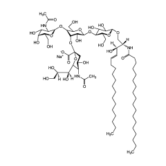 Ganglioside GM2 . sodium salt