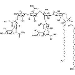 Ganglioside GD1a . disodium salt