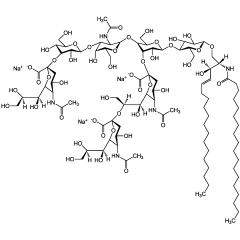 Ganglioside GT1b . trisodium salt