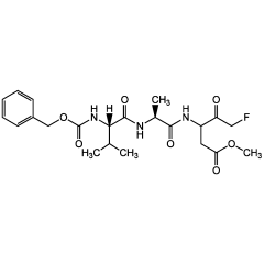 Z-VAD-FMK (Cell permeable)