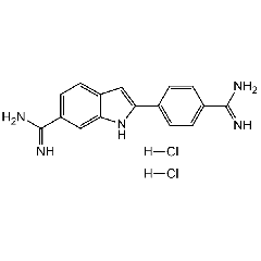 DAPI . dihydrochloride