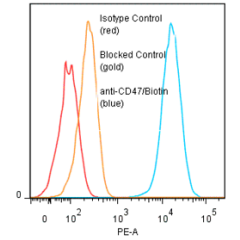 anti-CD47 (human), mAb (ANC2F6) (Biotin)