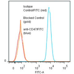 anti-CD47 (human), mAb (ANC2F6) (FITC)