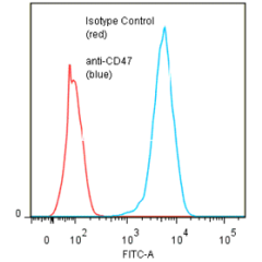 anti-CD47 (human), mAb (ANC2F6) (preservative free)