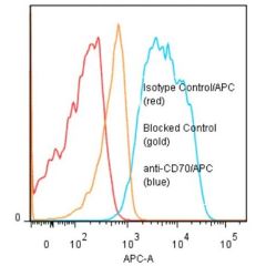 anti-CD70 (human), mAb (BU69) (APC) 