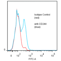 anti-CD244 (human), mAb (ANC2B4/3B12)