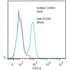 anti-CD244 [2B4] (human), mAb (ANC244.8/8F7) (preservative free)