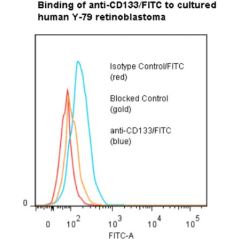 anti-CD133 (human), mAb (ANC9C5) (FITC) 