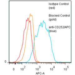 anti-CD252 [OX40L] (human), mAb (ANC10G1) (APC) 