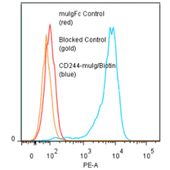 CD244 [2B4] (human)-muIg Fusion Protein (Biotin)