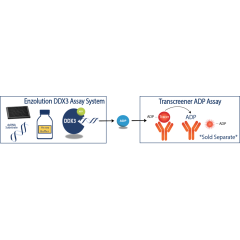 Enzolution&trade; DDX3 ATPase FI Assay System
