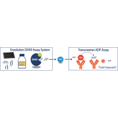 Enzolution&trade; DHX9 ATPase FI Assay System