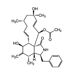 Cytochalasin H