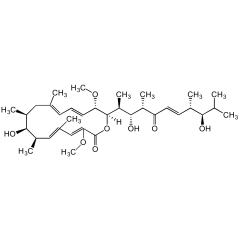 Bafilomycin D (high purity)