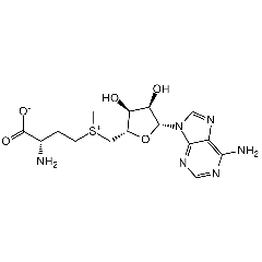 S-Adenosylmethionine