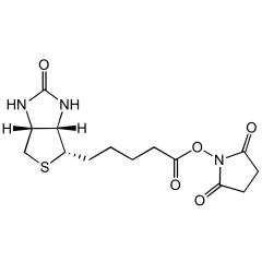 (+)-Biotin N-hydroxysuccinimide ester