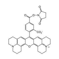 5-ROX N-succinimidyl ester