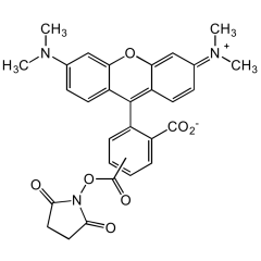 5(6)-TAMRA N-succinimidyl ester