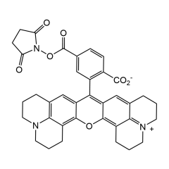 6-ROX N-succinimidyl ester