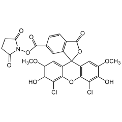 6-Carboxy-4',5'-dichloro-2', 7'-dimethoxyfluorescein succinimidyl ester