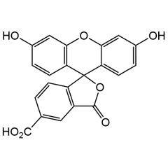 5-FAM (high purity)