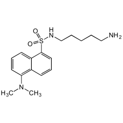 Dansylcadaverine