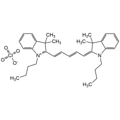 1,1'-Dibutyl-3,3,3',3'-tetramethyl indadicarbocyanine perchlorate