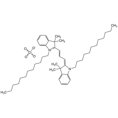 1,1'-Didodecyl-3,3,3',3'-tetramethyl indocarbocyanine perchlorate