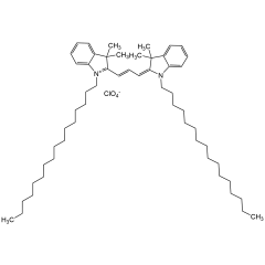 1,1'-Dihexadecyl-3,3,3',3'-tetramethyl indocarbocyanine perchlorate