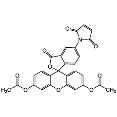 Fluorescein diacetate 5-maleimide