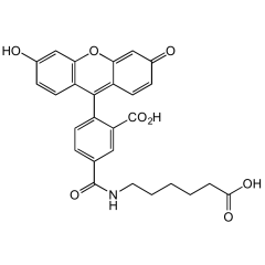 6-(Fluorescein-5-carboxamido) hexanoic acid