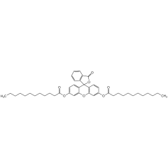 Fluorescein dilaurate