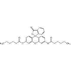 Fluorescein dicaproate